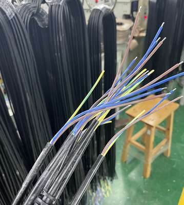 Cable électrique de PVC avec la prise